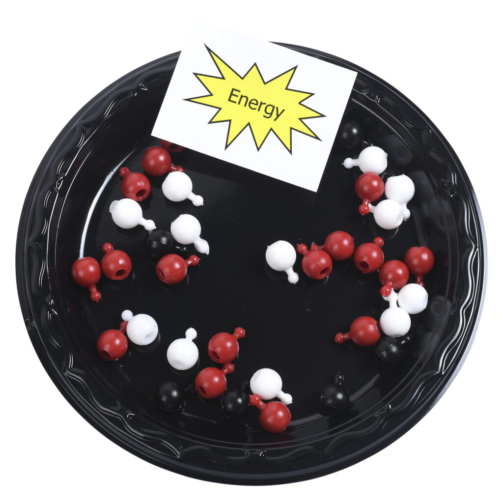 Modeling Photosynthesis And Cellular Respiration Science Take Out   STO 122 3 1024x1024 